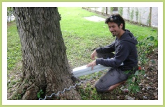 Visual Tree Assessment VTA